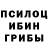 Псилоцибиновые грибы Magic Shrooms Annie Zeleneva