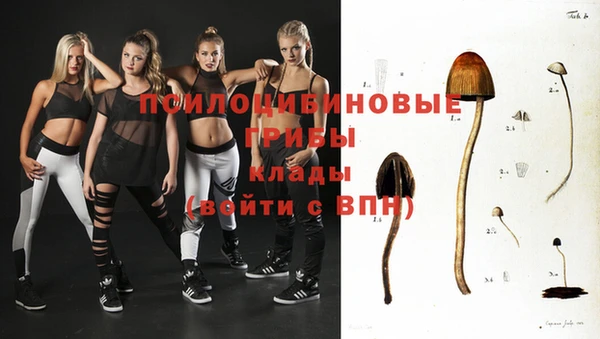 дживик Арсеньев