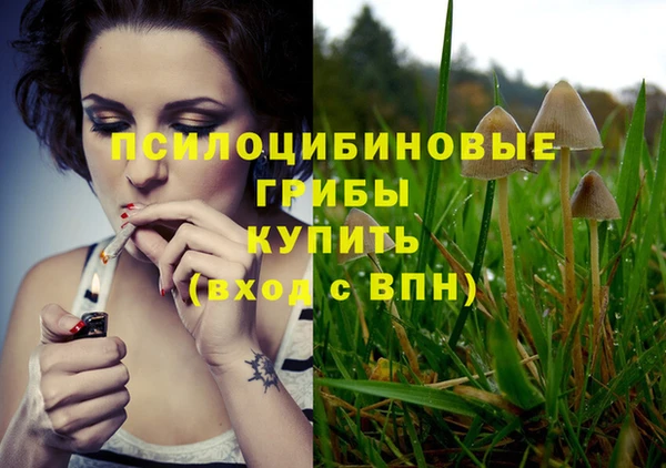 эйфоретик Армянск