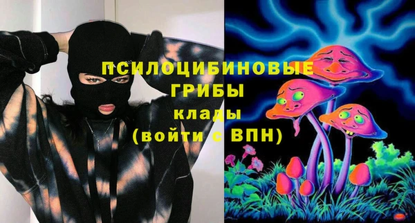 дживик Арсеньев