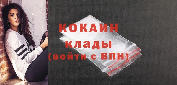 дживик Арсеньев